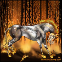 Horse Color:Gray Bay Tobiano Rabicano 