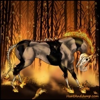 Horse Color:Void Amber Champagne Tobiano Rabicano 