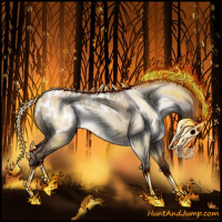 Horse Color:Gray Amber Champagne Dun Appaloosa