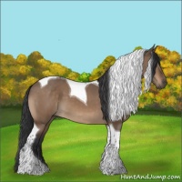 Horse Color:Brown Dun Tobiano 