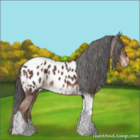 Horse Color:Liver Chestnut Tobiano Blanket Rabicano 