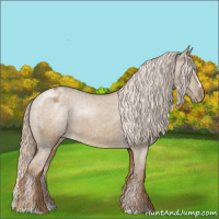 Horse Color:Chocolate Palomino Dun Sabino Varnish 