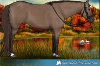 Horse Color:Liver Red Dun 