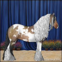 Horse Color:White Spotted Brown Dun Tobiano