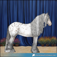 Horse Color:White Spotted Brown Dun Blanket
