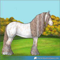 Horse Color:White Spotted Gold Champagne Roan Dun Appaloosa Brindle 