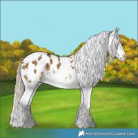 Horse Color:White Spotted Chocolate Palomino Dun Tobiano Blanket Rabicano Brindle 