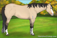 Horse Color:Bay Roan Dun Splash