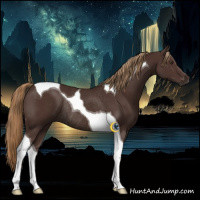 Horse Color:Liver Chestnut Tobiano Rabicano 