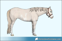 Horse Color:Smoky Creme Sabino