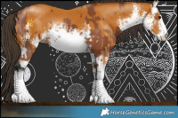 Horse Color:White Spotted Bay  and White Spotted Buckskin 