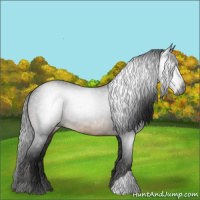 Horse Color:Gray Brown 