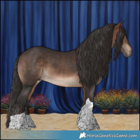 Horse Color:Bay Tobiano 