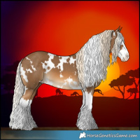 Horse Color:White Spotted Chocolate Palomino Splash 