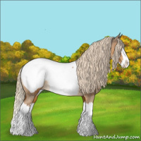 Horse Color:Chocolate Palomino Sabino Splash Appaloosa Rabicano 