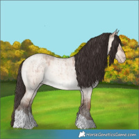 Horse Color:Sable Champagne Roan Dun Tobiano Rabicano Brindle 