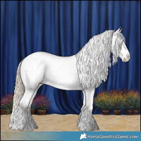 Horse Color:White Spotted Chocolate Palomino Dun Splash Snowcap 
