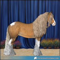 Horse Color:Chocolate Palomino Dun Splash Tobiano 