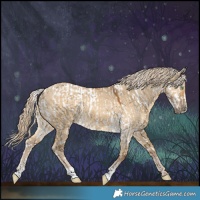 Horse Color:Palomino Splash Tobiano Near Fewspot  and Chocolate Palomino Dun 