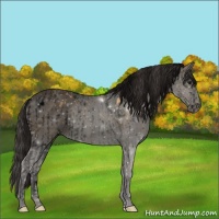 Horse Color:Void Buckskin Sabino Rabicano  and Void Smoky Blue Roan 
