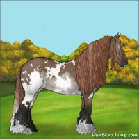 Horse Color:White Spotted Liver Red Dun 