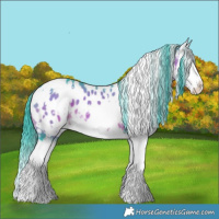 Horse Color:Watercolor White Spotted Brown Splash Appaloosa 