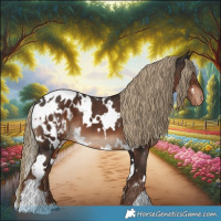 Horse Color:White Spotted Liver Chestnut Appaloosa 
