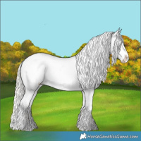 Horse Color:White Spotted Cremello Dun Appaloosa Rabicano 