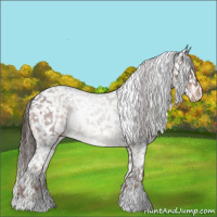 Horse Color:White Spotted Liver Chestnut Appaloosa Rabicano 