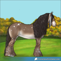 Horse Color:White Spotted Liver Red Dun 