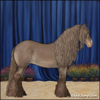 Horse Color:Liver Red Dun Appaloosa