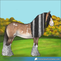 Horse Color:White Spotted Bay Dun Splash 