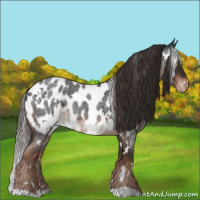 Horse Color:White Spotted Liver Red Roan Appaloosa Rabicano 