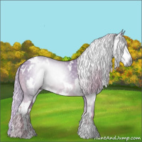Horse Color:Gray Watercolor White Spotted Chocolate Palomino Ice 