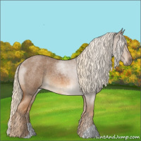 Horse Color:Chocolate Palomino Roan 