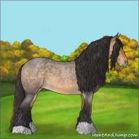 Horse Color:Buckskin Roan 