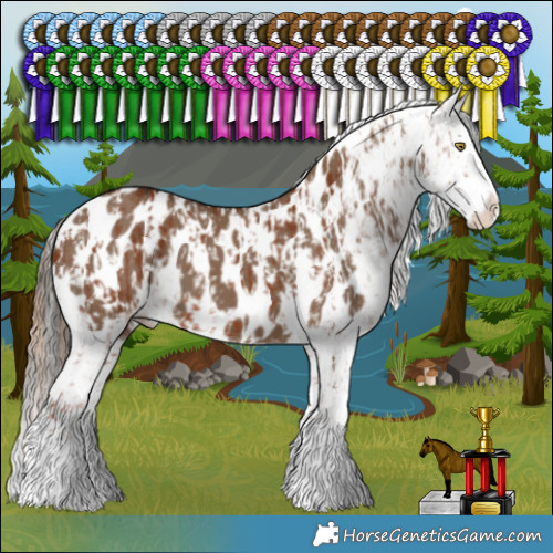 Horse Color:Chestnut Sabino Appaloosa Rabicano  and Liver Red Dun Sabino Appaloosa 
