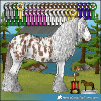 Horse Color:Chestnut Sabino Appaloosa Rabicano and Liver Red Dun Sabino Appaloosa