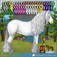 Horse Color:Chestnut Sabino Appaloosa Rabicano  and Liver Red Dun Sabino Appaloosa 