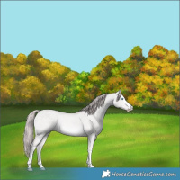 Horse Color:Platinum White Spotted Perlino Dun Sabino Rabicano 