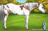 Horse Color:Bay Sabino and Bay Sabino