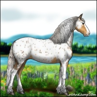 Horse Color:Silver Smoky Black Splash Tobiano Appaloosa 