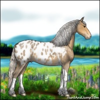 Horse Color:Silver Smoky Blue Roan Tobiano Near Leopard 