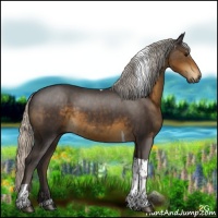Horse Color:Silver Smoky Black Tobiano 