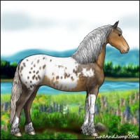 Horse Color:Silver Smoky Black Tobiano Blanket 