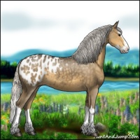 Horse Color:Silver Smoky Black Splash Appaloosa 