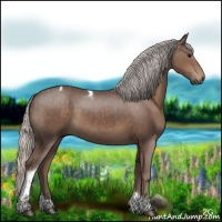 Horse Color:Silver Black Tobiano 