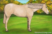 Horse Color:Chestnut Pearl Splash  Brindle