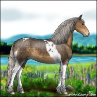 Horse Color:Silver Smoky Black Tobiano Appaloosa 