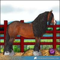 Horse Color:Brown 